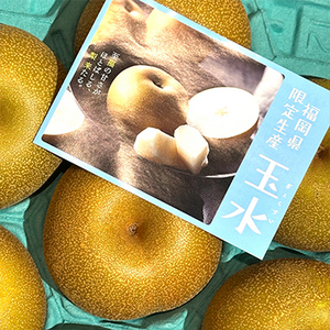 ［一富士］［福岡県産］玉水(梨)
