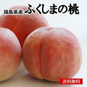 【9月中旬以降のお届け予定】［一富士］［福島県産］ふくしまの桃