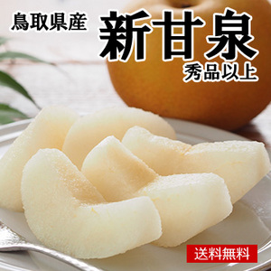 【8月下旬以降のお届け予定】［一富士］［鳥取県産］新甘泉(梨)