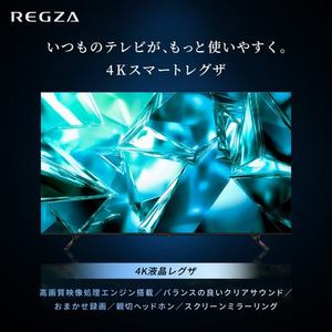 REGZA 65M550S 65V型 4K液晶テレビ 全面直下型LEDパネルモジュール レグザエンジンZR搭載 地上デジ・4K衛星放送・BS･110度CSデジタルチューナー内蔵