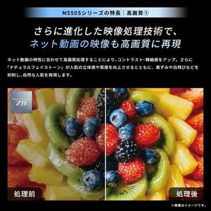 REGZA 65M550S 65V型 4K液晶テレビ 全面直下型LEDパネルモジュール レグザエンジンZR搭載 地上デジ・4K衛星放送・BS･110度CSデジタルチューナー内蔵