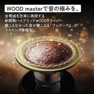 JVCケンウッド HA-FW5000T WOOD master ワイヤレスイヤホン カナル型 ノイズキャンセリング ハイブリッドWOODドライバー搭載 Bluetooth LDAC対応 インディゴブルー