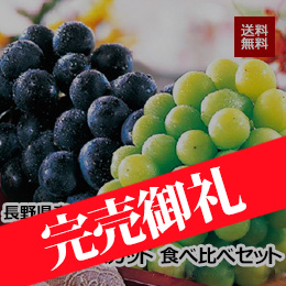 【8月上旬以降のお届け予定】[長野県産]ナガノパープル・シャインマスカット食べ比べセット