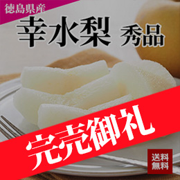 【8月上旬以降のお届け予定】[徳島県産] 幸水梨 秀品 約4kg(7〜12玉) 