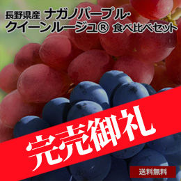 【8月中旬以降のお届け予定】[長野県産]ナガノパープル・クイーンルージュ&reg;　食べ比べセット　800g以上