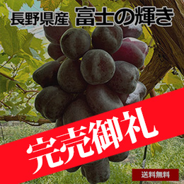 【8月中旬以降のお届け予定】[長野県産]富士の輝き　800g以上(2～３房入)