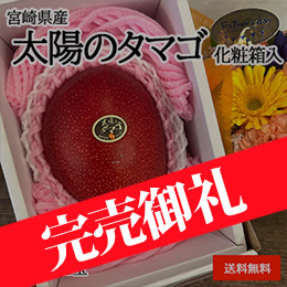 ［一富士］[宮崎県産］太陽のタマゴ 化粧箱入