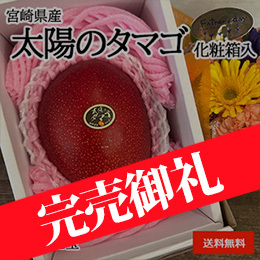 ［一富士］[宮崎県産］太陽のタマゴ 化粧箱入