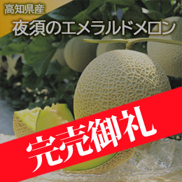 【6月下旬以降のお届け予定】[高知県産]夜須のエメラルドメロン