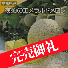 【6月下旬以降のお届け予定】[高知県産]夜須のエメラルドメロン