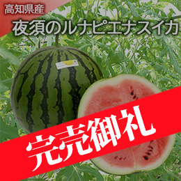 【6月下旬以降のお届け予定】[高知県産]夜須のルナピエナスイカ
