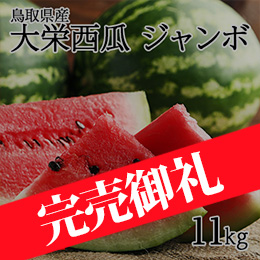 【6月中旬以降のお届け予定】[鳥取県産]大栄西瓜 ジャンボ 約11kg