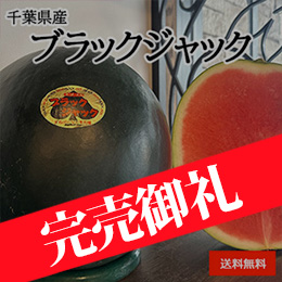 【6月中旬以降のお届け予定】［一富士］[千葉県産］ブラックジャック(種なしスイカ)