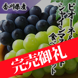 【7月下旬以降のお届け予定】[香川県産] ピオーネ&シャインマスカット食べ比べセット