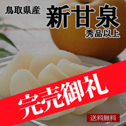 【8月下旬以降のお届け予定】［一富士］［鳥取県産］新甘泉(梨)