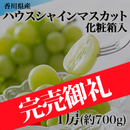 【7月下旬以降のお届け予定】[香川県産] ハウスシャインマスカット 1房 化粧箱入