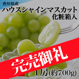 【7月下旬以降のお届け予定】[香川県産] ハウスシャインマスカット 1房 化粧箱入
