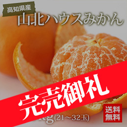 【6月上旬以降のお届け予定】[高知県産]山北ハウスみかん