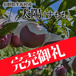 【8月中旬以降のお届け予定】[長野県生坂村] 太陽(すもも)