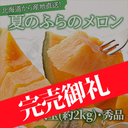 【8月末以降のお届け予定】北海道富良野産 夏のふらのメロン【秀品】 大玉