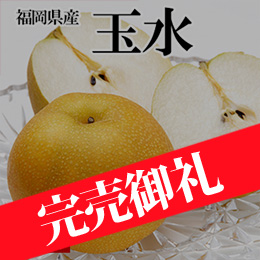 ［一富士］［福岡県産］玉水(梨)