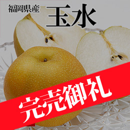 ［一富士］［福岡県産］玉水(梨)