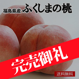 【9月中旬以降のお届け予定】［一富士］［福島県産］ふくしまの桃
