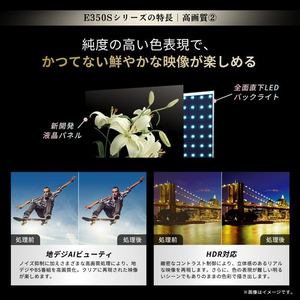 REGZA 50E350S 50V型 4K液晶テレビ ネット動画ビューティ Airplay 2搭載 地上デジ・新4K衛星放送・BS･110度CSチューナー内蔵
