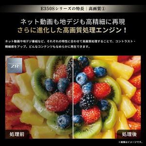 REGZA 55E350S 55V型 4K液晶テレビ ネット動画ビューティ Airplay 2搭載 地上デジ・新4K衛星放送・BS･110度CSチューナー内蔵