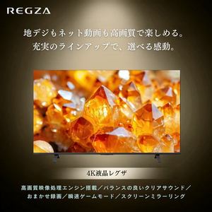 REGZA 85E350S 85V型 4K液晶テレビ ネット動画ビューティ Airplay 2搭載 地上デジ・新4K衛星放送・BS･110度CSチューナー内蔵