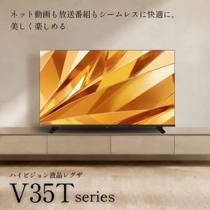 REGZA 24V35T 24V型 ハイビジョン液晶テレビ ネット動画ビューティ おまかせ録画 地上デジ・BS・110度CSチューナー内蔵