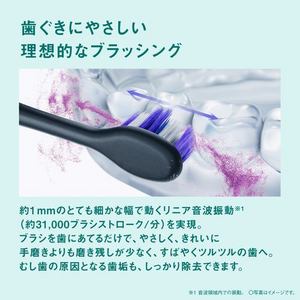 パナソニック EW-DA49-K 音波振動ハブラシ ドルツ 歯周ポケットのプラークをかき出す リニア音波振動 置き型充電台付 ブラック