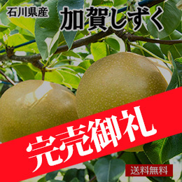 ［一富士］［石川県産］加賀しずく(梨)