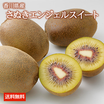【11月中旬以降のお届け予定】[香川県産]さぬきエンジェルスイート(キウイ) 約1kg 化粧箱入