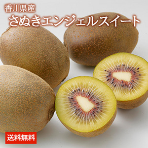【11月中旬以降のお届け予定】[香川県産]さぬきエンジェルスイート(キウイ) 約1kg 化粧箱入