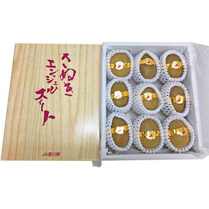 【11月中旬以降のお届け予定】[香川県産]さぬきエンジェルスイート(キウイ) 約1kg 化粧箱入