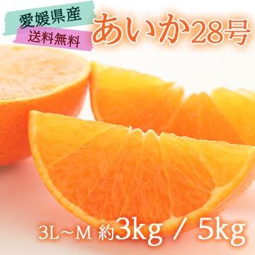【11月下旬以降のお届け予定】[愛媛県産]あいか28号(3L〜M) (紅まどんな同品種)