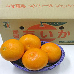 【11月下旬以降のお届け予定】[愛媛県産]あいか28号(3L〜M) (紅まどんな同品種)