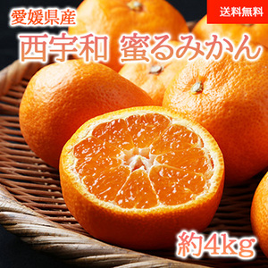 【11月下旬以降のお届け予定】[愛媛県産]西宇和 蜜るみかん(L〜S) 約4kg