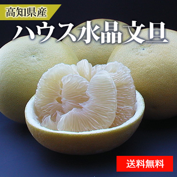 【10月中旬以降のお届け予定】[高知県産]ハウス水晶文旦 化粧箱入