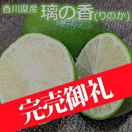 【8月下旬以降のお届け予定】[香川県産] 璃の香(りのか)