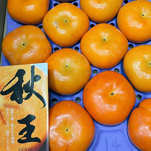 【11月中旬以降のお届け予定】[一富士][福岡県産]秋王 (柿)