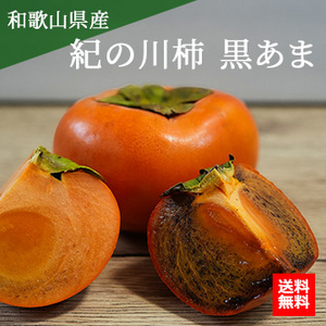 【10月中旬以降のお届け予定】[一富士][和歌山県産]紀の川柿 黒あま