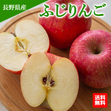 【11月下旬以降のお届け予定】[一富士][長野県産]ふじりんご
