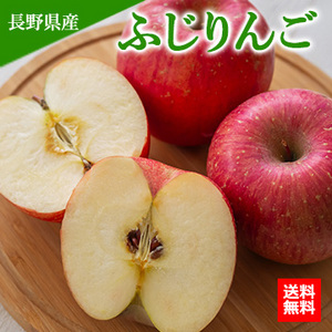 【11月下旬以降のお届け予定】[一富士][長野県産]ふじりんご