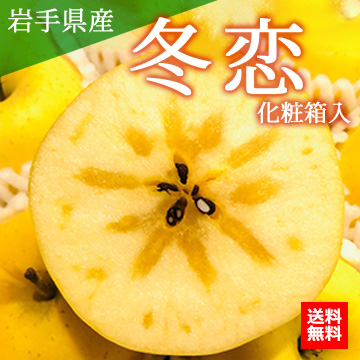 【12月上旬以降のお届け予定】[一富士][岩手県産]冬恋(りんご) 化粧箱入
