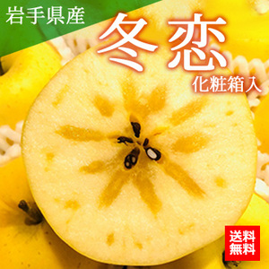 【12月上旬以降のお届け予定】[一富士][岩手県産]冬恋(りんご) 化粧箱入