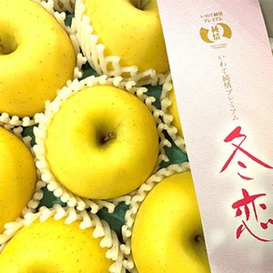 【12月上旬以降のお届け予定】[一富士][岩手県産]冬恋(りんご) 化粧箱入
