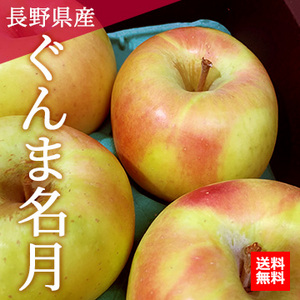 【10月中旬以降のお届け予定】[一富士][長野県産] ぐんま名月