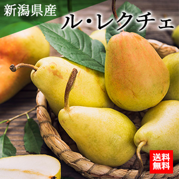 【12月上旬以降のお届け予定】[一富士][新潟県産]ル・レクチェ